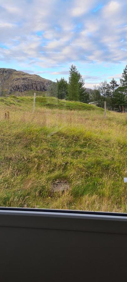 Guesthouse Stekkatún Skálafell Eksteriør billede