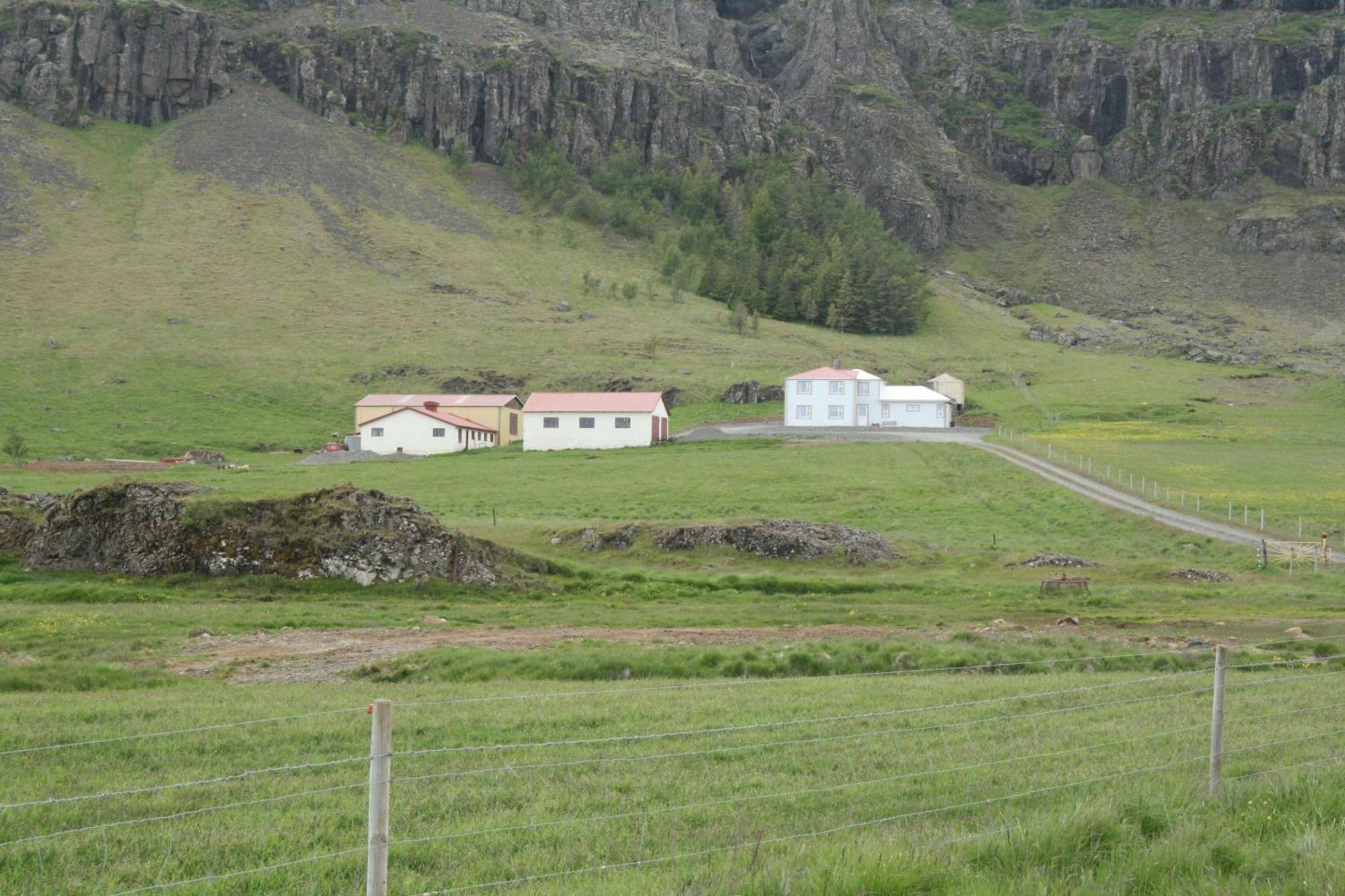 Guesthouse Stekkatún Skálafell Eksteriør billede