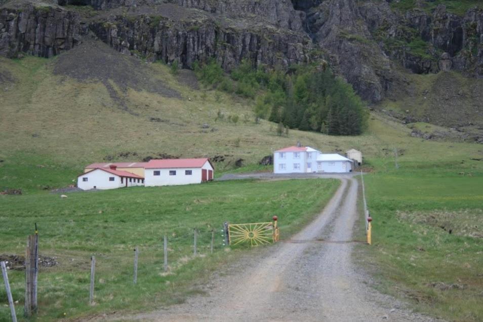 Guesthouse Stekkatún Skálafell Eksteriør billede